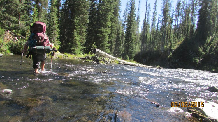 Yellow September 035