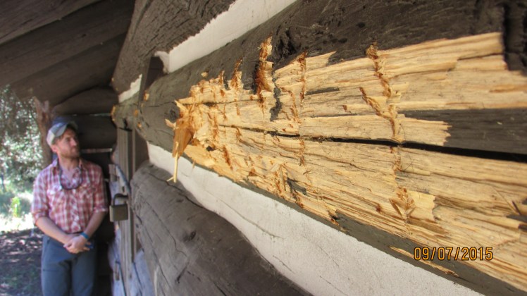 Yellow September 114