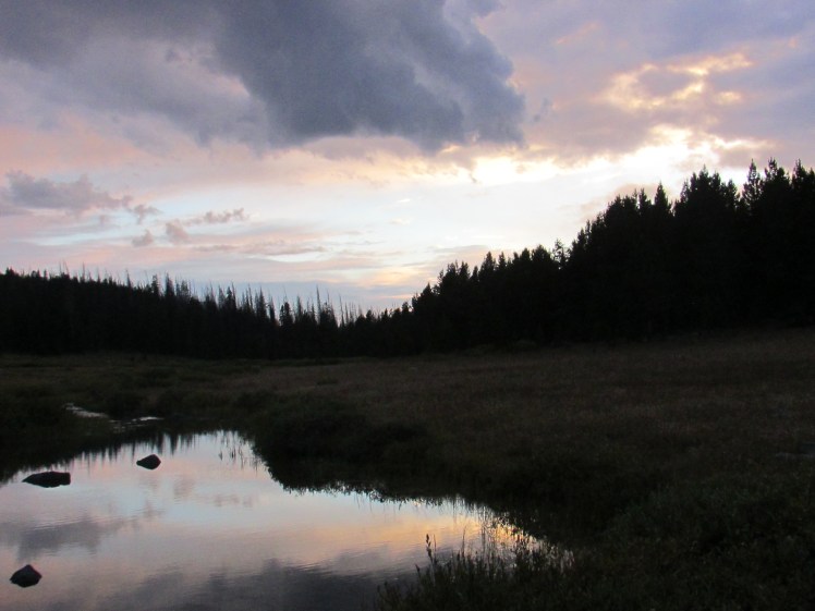 Yellow September 165