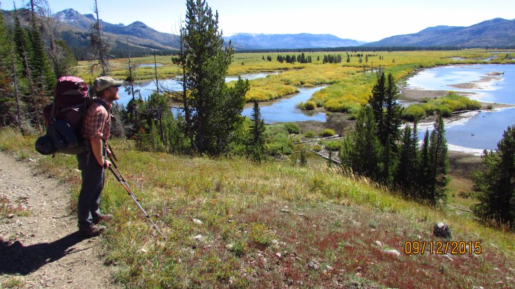 Yellow September 230