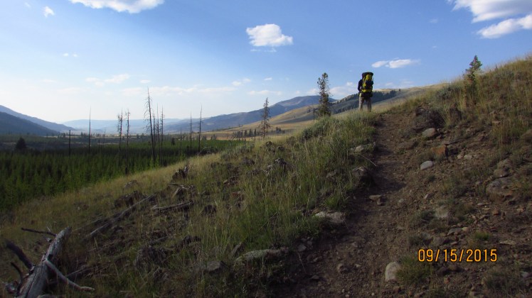 Yellow September 266