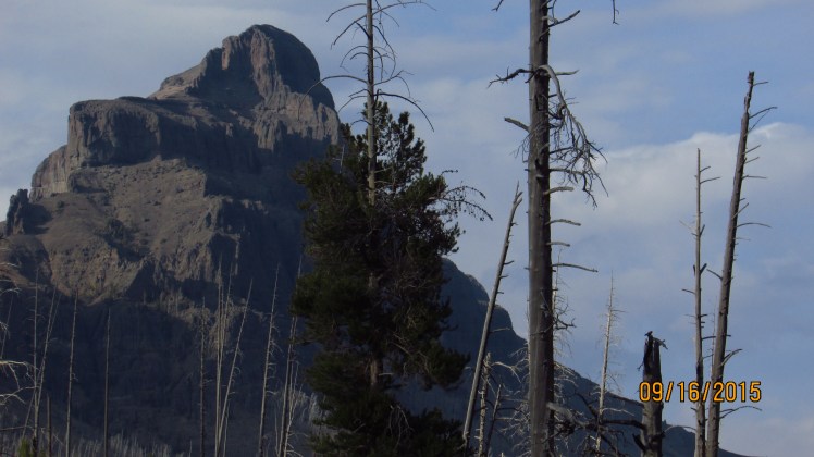 Yellow September 295