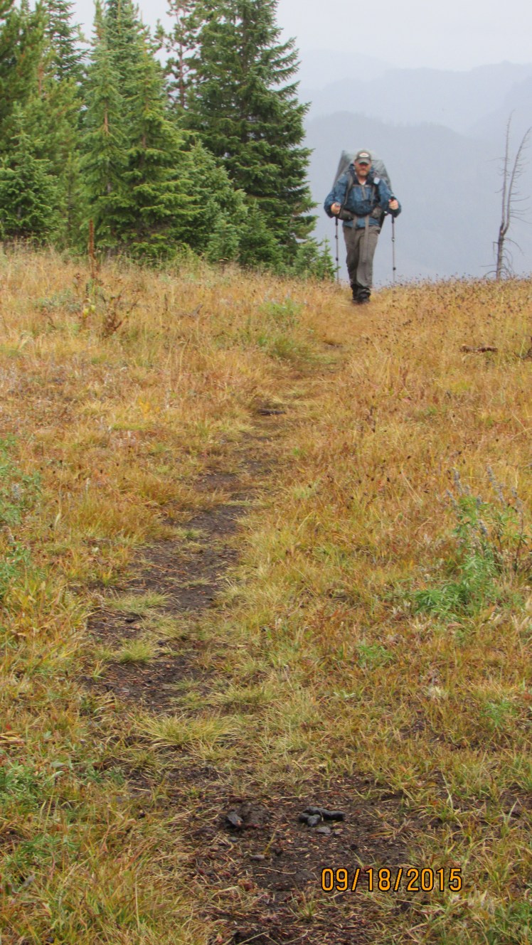 Yellow September 315