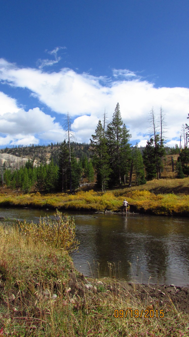 Yellow September 325