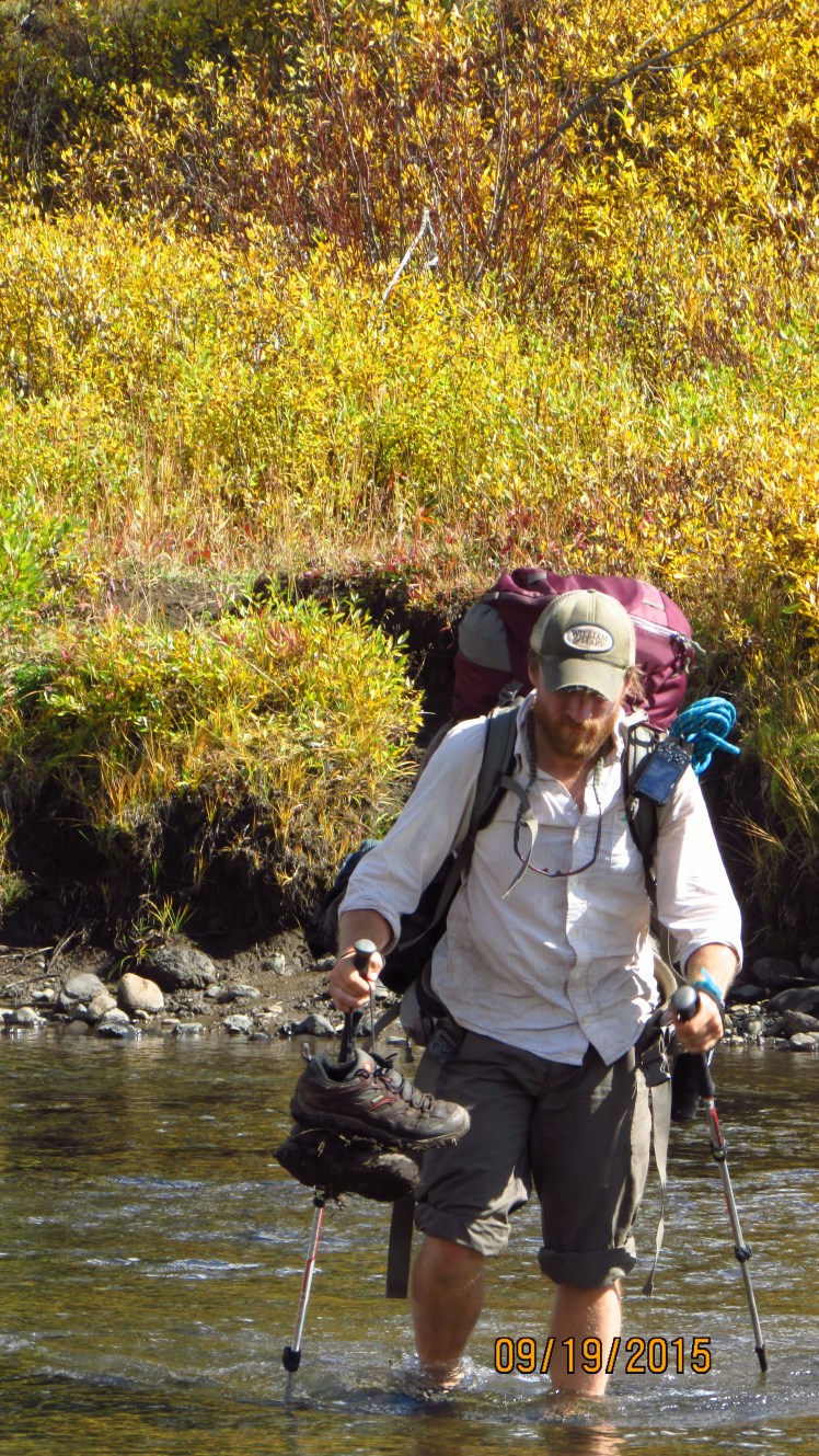 Yellow September 327