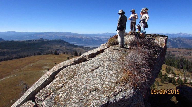 Yellow September 340