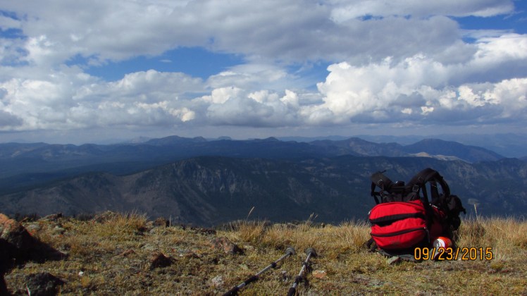 Yellow September 383