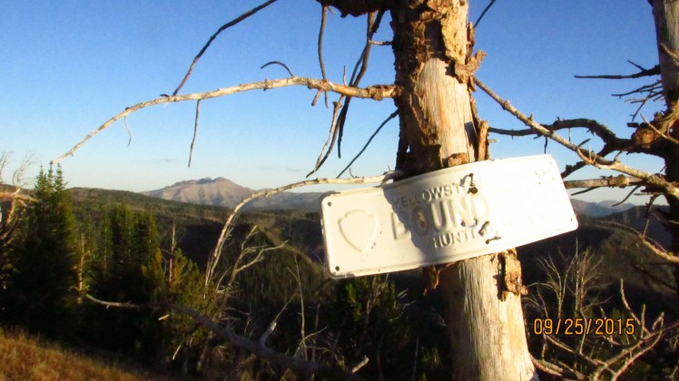 Yellow September 468